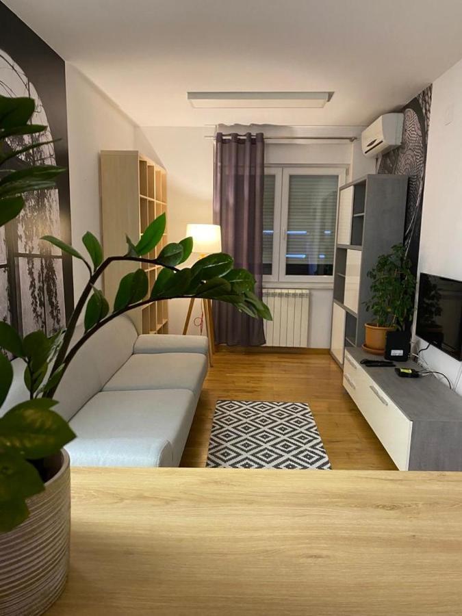 Benvenuti Apartments Belgrad Exteriör bild